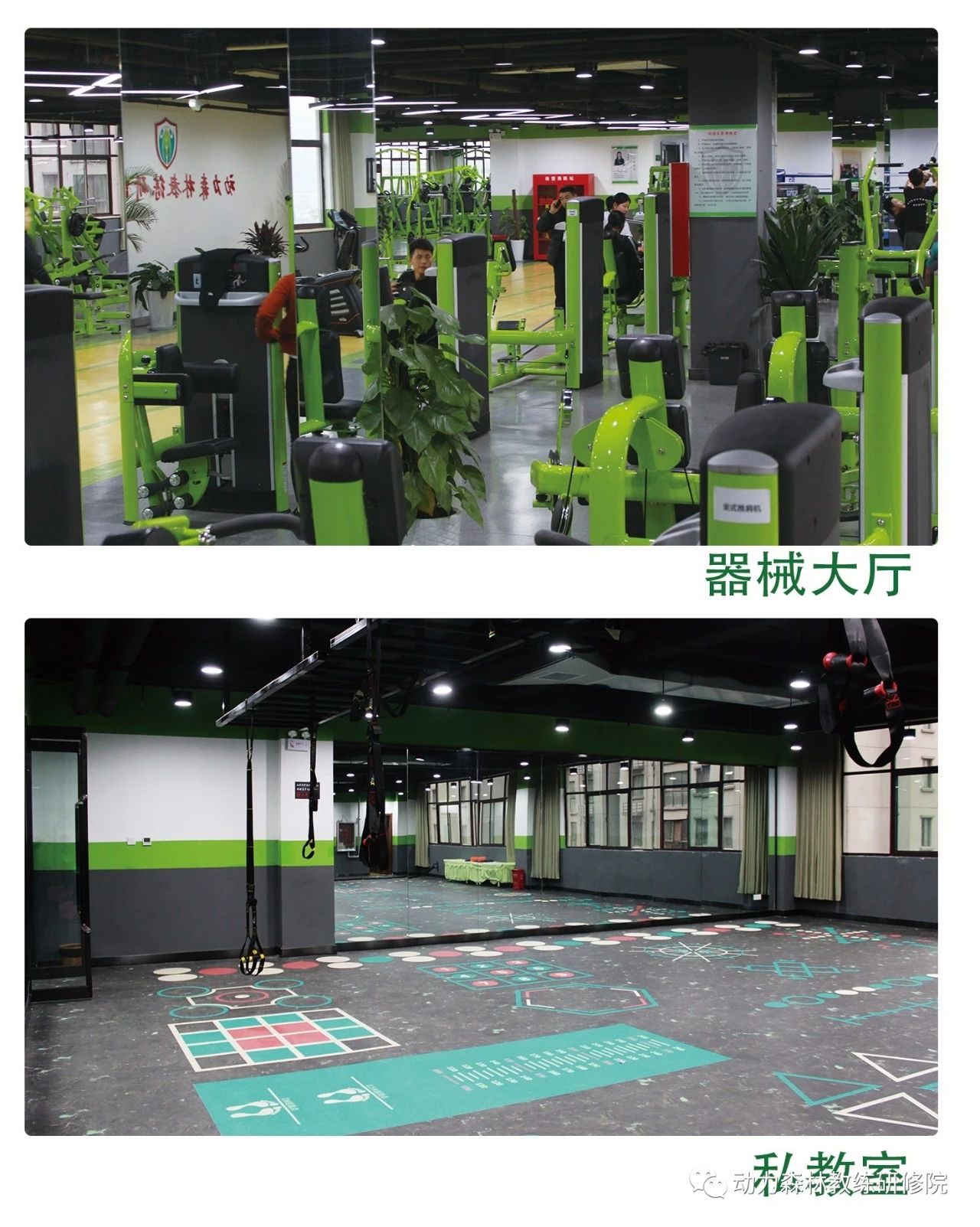 动力森林教练研修院
