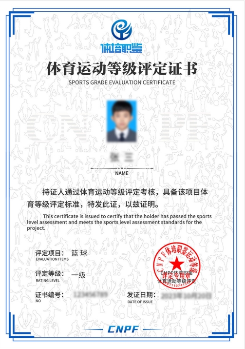 65e7cf382855d.png